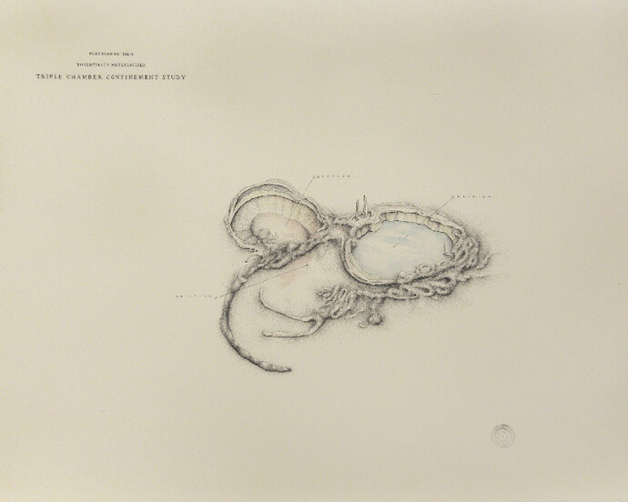 Shelter in Place. Courtesy of Front Room Gallery