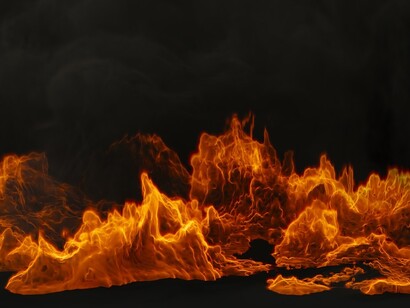 Fuego que destruye lo vivo