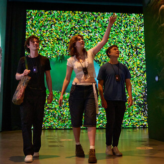 The man who planted trees: an immersive tale, exhibition view. Courtesy of Canadian Museum of Nature