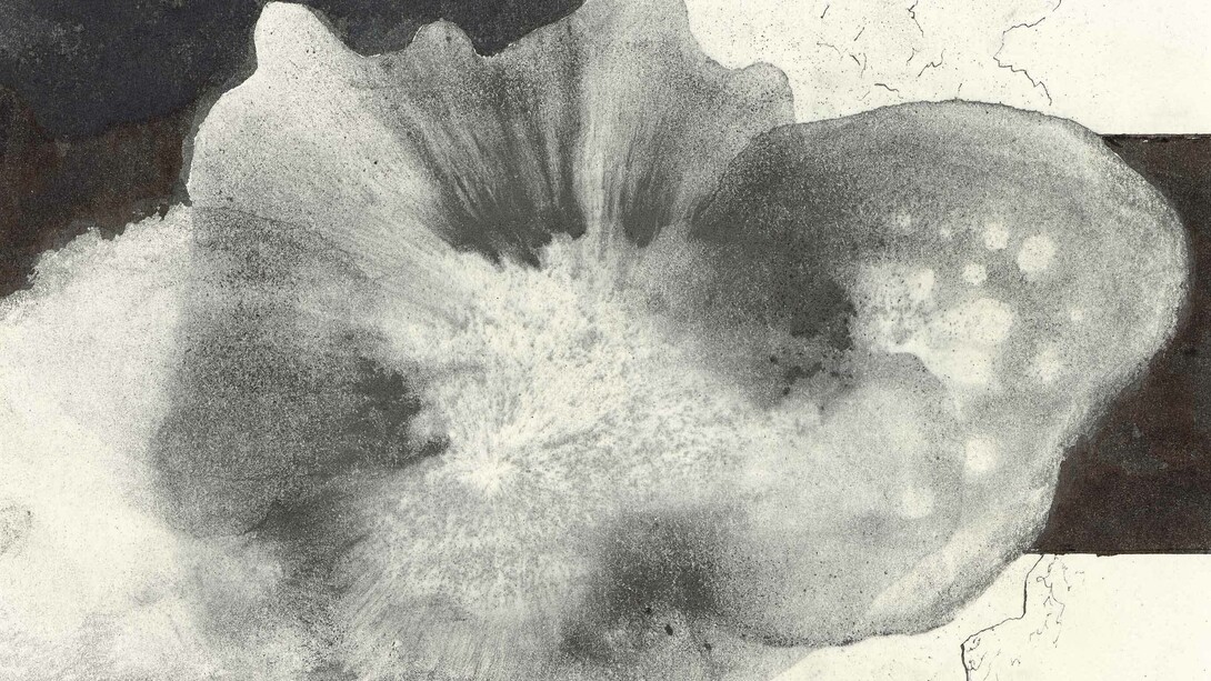 Gerhard Richter, 27.6.2023 (detail), 2023. Ink and pencil on paper. © Gerhard Richter 2024 (25012024). Courtesy of David Zwirner Gallery