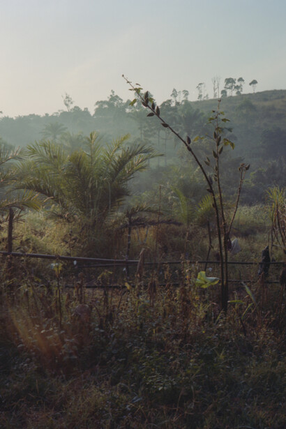 Pierrick Mouton, Untitled, 2011