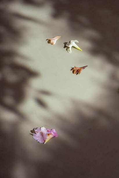 Allora & Calzadilla, exhibition view. Courtesy of the artist and Galerie Chantal Crousel 