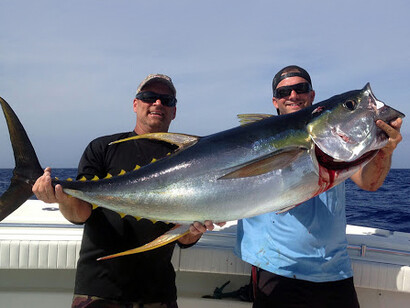The target are yellow-fin tuna, skipjack, and occasionally big-eyed tuna