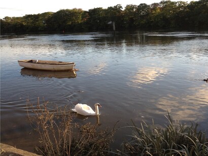 Chiswick, the Thames River.