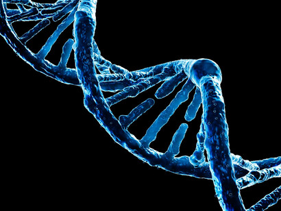 Il test del DNA racconta nel dettaglio sia la predisposizione genetica che lo stato di salute attuale della persona