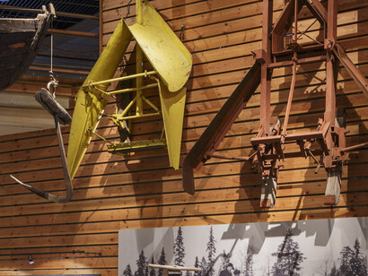 The old logging site. Courtesy of Lusto