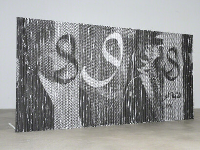 Sreshta Rit Premnath. Courtesy of ACE Gallery