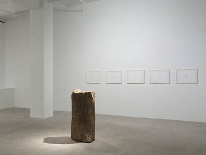 Giuseppe Penone. Courtesy of Marian Goodman Gallery