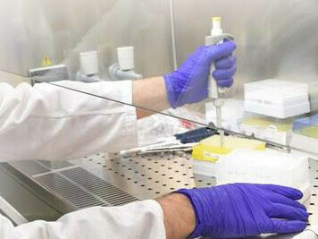 Hay muchos más virus animales potencialmente mortales que aún no hemos descubierto