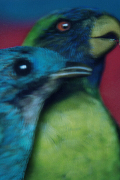 Sarah Moon. Time at work. Courtesy of Galleria Carla Sozzani