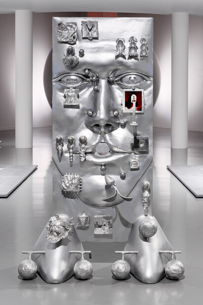 Stef Van Looveren, Cosmic body. First incision, exhibition view. Courtesy of M HKA