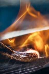 Healthy/Unhealthy Food