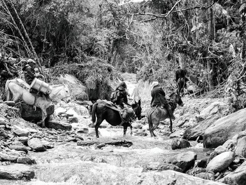 Segundo, lo que uno les pague a ellos, por un almuerzo, por un hospedaje, es algo que les va a servir para seguir con su labor: la reforestación, el cuidado del agua y de los bosques. Bogota, Colombia