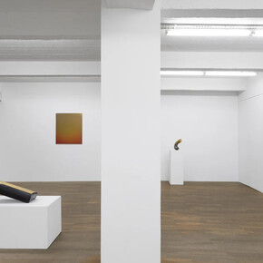 Emmanuelle Leblanc and Hervé Wahlen, Alchemies, exhibition view. Courtesy of Backslash Gallery. Photo by Hafid Lhachmi - ADAGP Paris