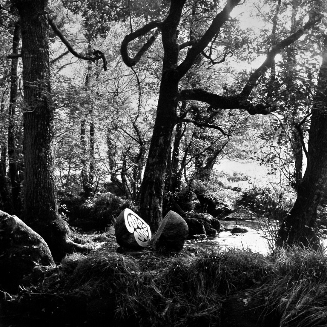 Peter Randall-Page, Granite Song 2, c.1992. From the New Milestones collection. Courtesy of YSP © Jonty Wilde