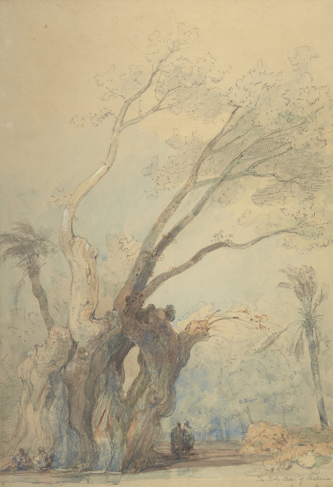 David Roberts, The Holy Tree of Materia 1839, Pencil and watercolour, 33.65 x 23.49 cm, Scottish National Gallery collection. Miss Helen Guiterman Bequest, through the Art Fund, 2008