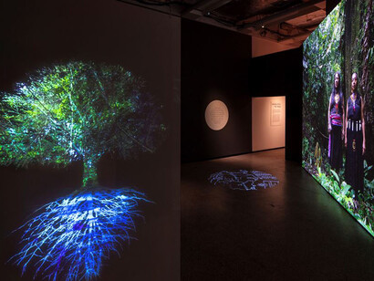 More than human, exhibition view. Courtesy of the Design Museum