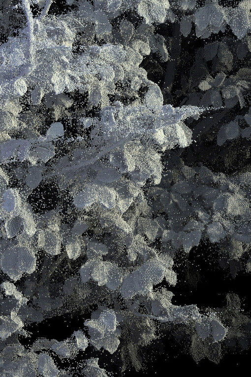 Vestiges. Courtesy of Galerie Charlot