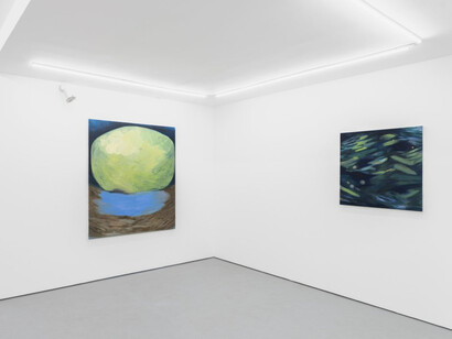 Bárbara Faden, Exhaling blue, sky of the mouth, exhibition view. Courtesy of Balcony Contemporary Art Gallery