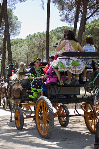 Por el Camino de los Llanos. Romería de El Rocío, Huelva, España