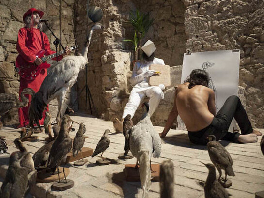 Tradurre l'incanto agli uccelli, 2012, performance, 100 x 150 cm