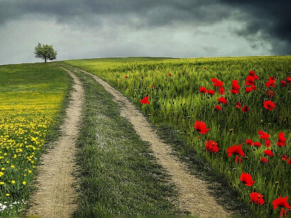One comes to this world to lose everything