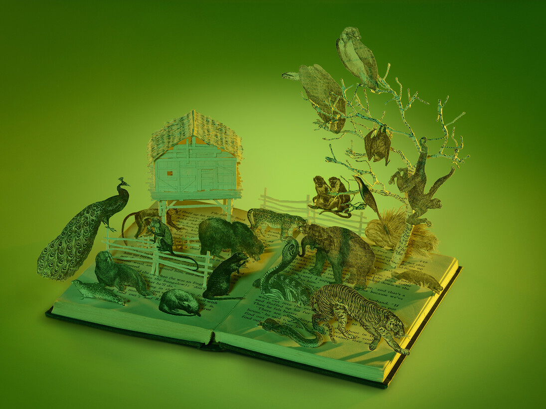 Su Blackwell, Jungle Book, 330mm w x 280mm h x 240mm d, Paper, book, lights, paper sculpture in glass and wood box