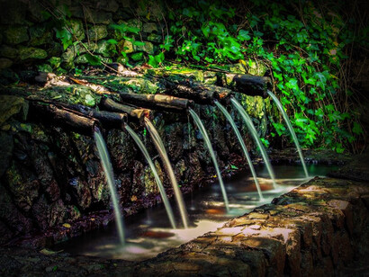 Parque Nacional Garajonay, que lleva su nombre en honor a la leyenda de la Isla La Gomera, ubicada en Canarias, España