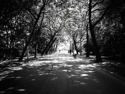 Vondelpark in Amsterdam, Netherlands