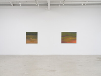 Richard Mayhew, Understory, exhibition view. Courtesy of Karma Gallery
