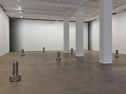 Iran do Espírito Santo, Exhibition view. Courtesy of Sean Kelly