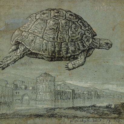 Lines of Thought. Courtesy of Risd Museum