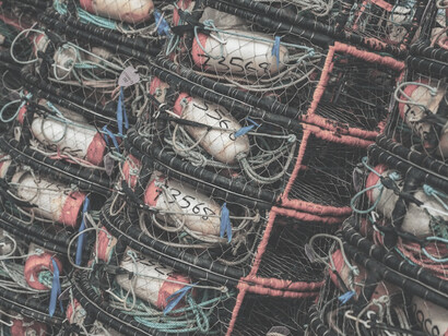 The anticipation lingers as the scene unfolds, with stacks of worn crab traps patiently waiting for a fisherman to harvest lobsters and crabs from the bountiful waters of Bodega Bay, California, US