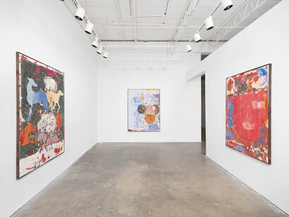 Gommaar Gilliams, Sky atlas, exhibition view. Courtesy of Johnson Lowe Gallery