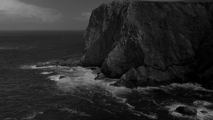 Amelia Stein, The White Promontory