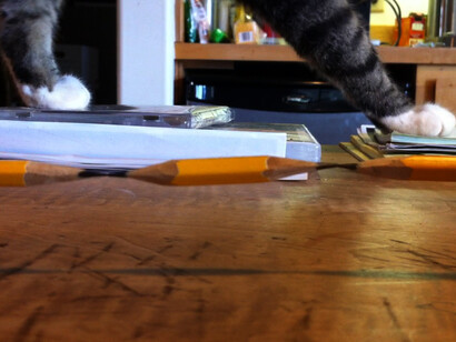 Pencil Lift /Mr.Rogers, 2013, Audio and video installation: 1 LED Screen, Right component: Mr. Rogers, 46 sec, looped © Bruce Nauman / ADAGP, Paris 2015, Photo courtesy Sperone Westwater, New York