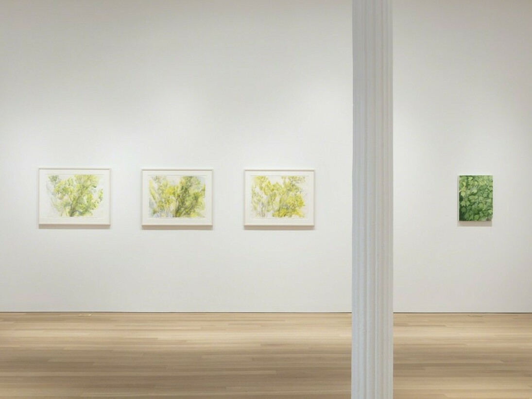 Sylvia Plimack Mangold, Exhibition view. Courtesy of Alexander and Bonin