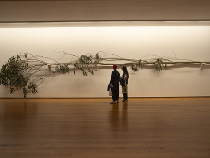 Alberto Ardid, Hay un lugar, vista de exhibición. Cortesía de MARCO