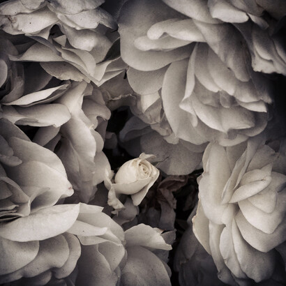 John Arsenault, 11:52 am, Los Angeles, 2013, Signed, titled, dated, and numbered, verso, Chromogenic print, 30 x 30 inches (Edition of 5), 13.5 x 13.5 inches (Edition of 10)