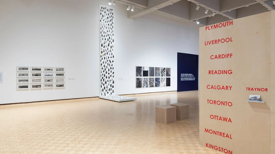 Thaddeus Holownia, Governor general's awards in visual and media arts, exhibition view. Courtesy of Corkin Gallery