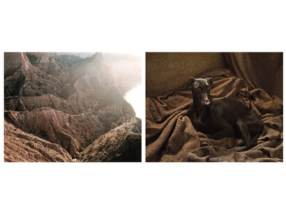 Martin Usborne, Ravine Double, 2015, Tirage pigmentaire sur papier mat, diptyque 2x (50 x 63) cm, Edition de 6 + 2 EA, numéroté et signé au dos