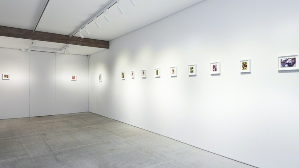 Pareidolia. Courtesy of Totah 