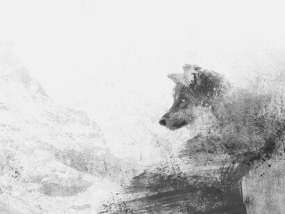 Lupo. Combination: il nuovo album di Antonio Lusi - rock, fusion e ballad in una sinfonia unica