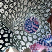 Vlad Tenu, Synthetic Nature