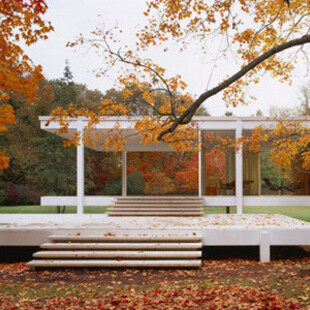 Outro clássico da arquitetura moderna: a Casa Farnsworth de Mies van der Rohe