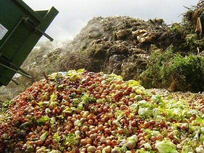 Industrialised and developing countries dissipate roughly the same quantities of food