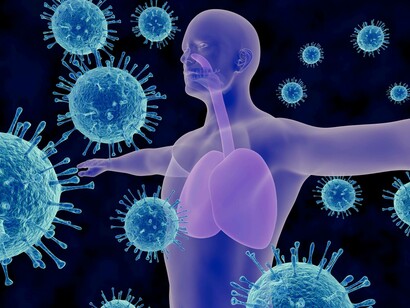 The immune system is the body's defense mechanism