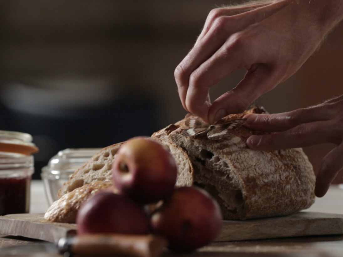 Ruaidhri Ryan Belt Craft Studios (2014) Film still. Courtesy the artist.