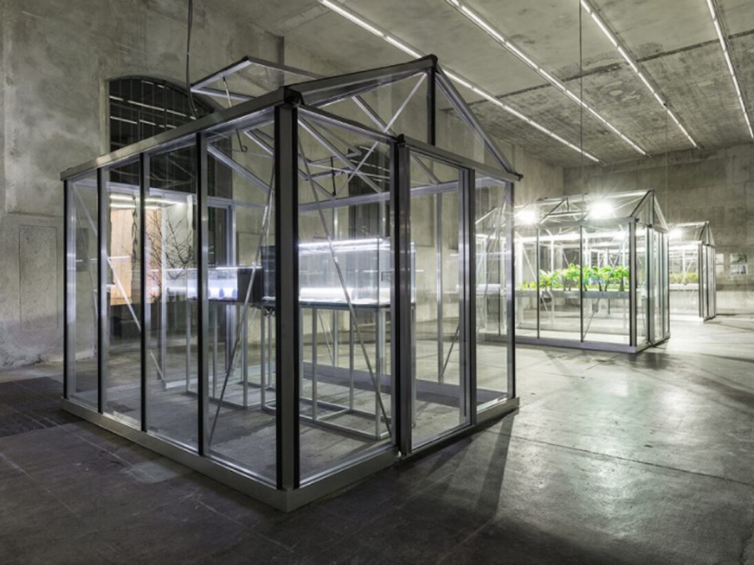 Extinct in the Wild, Exhibition view. Courtesy of Fondazione Prada