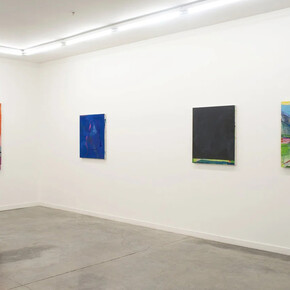 Hampton Boyer, Wielding instinct, exhibition view. Courtesy of Romer Young Gallery